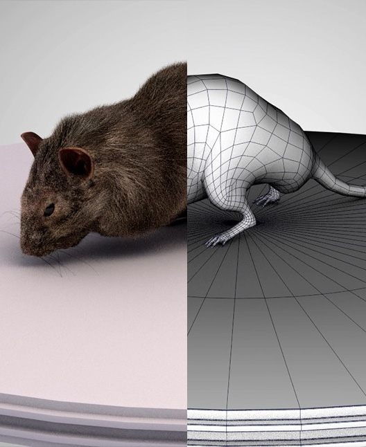 طراحی شخصیت