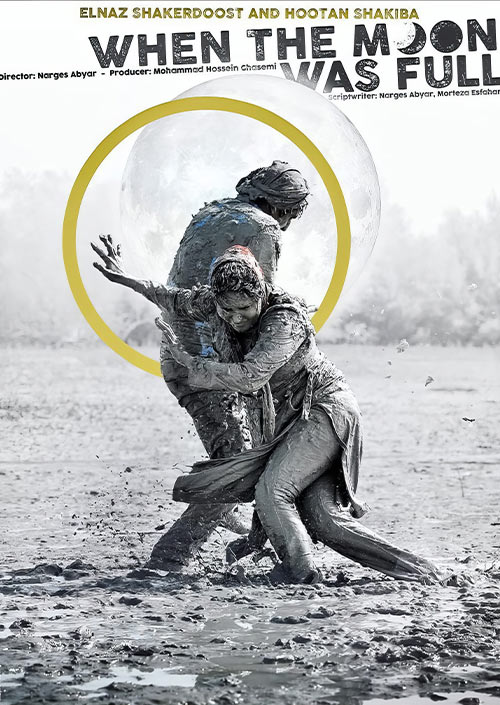 شبی که ماه کامل شد