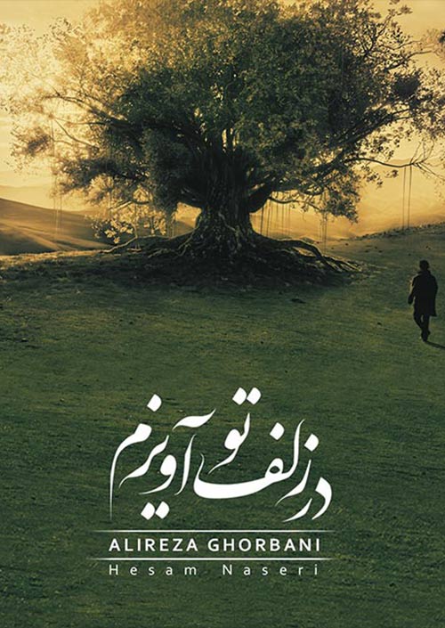 در زلف تو آویزم